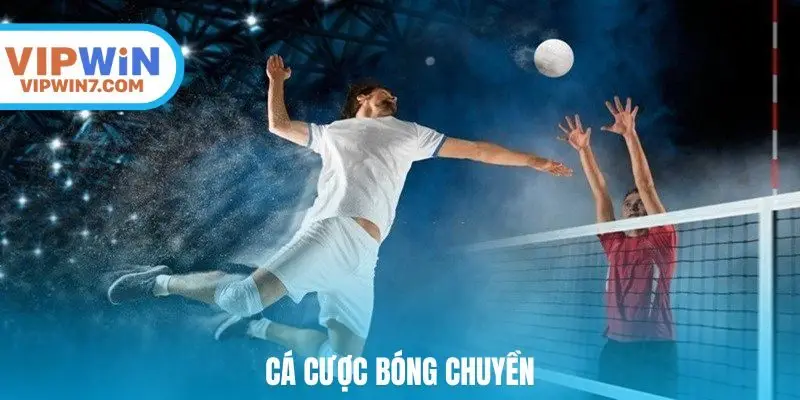 cá cược bóng chuyền