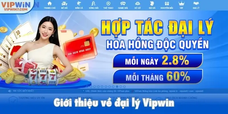 Giới thiệu về đại lý Vipwin