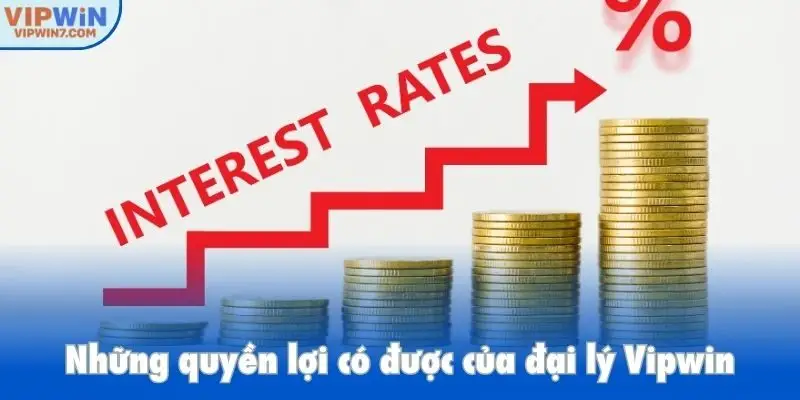 Những quyền lợi có được của đại lý Vipwin