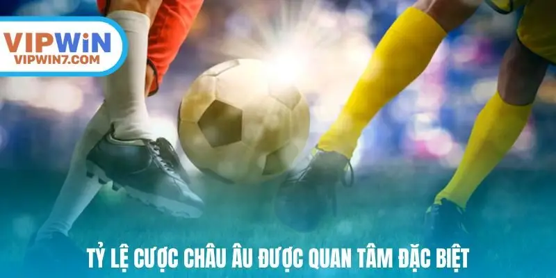 Tỷ lệ cược châu Âu được quan tâm đặc biệt