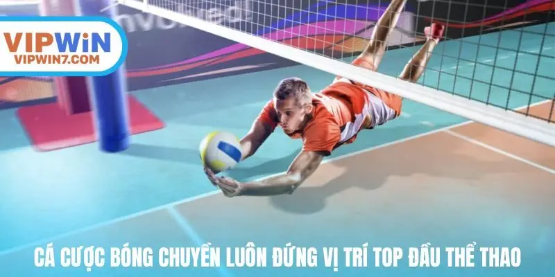 cá cược bóng chuyền luôn đứng vị trí top đầu thể thao trực tuyến