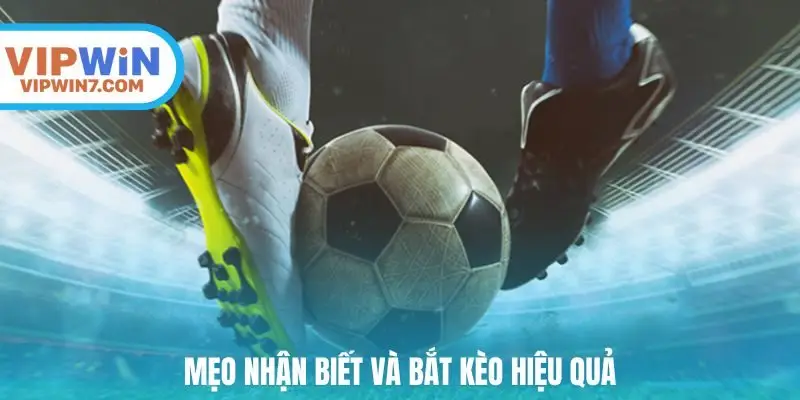 Mẹo nhận biết và bắt kèo hiệu quả