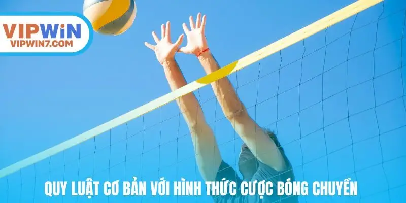 quy luật cơ bản với hình thức cược bóng chuyền