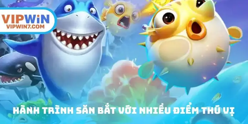 Hành trình săn bắt với nhiều điểm thú vị
